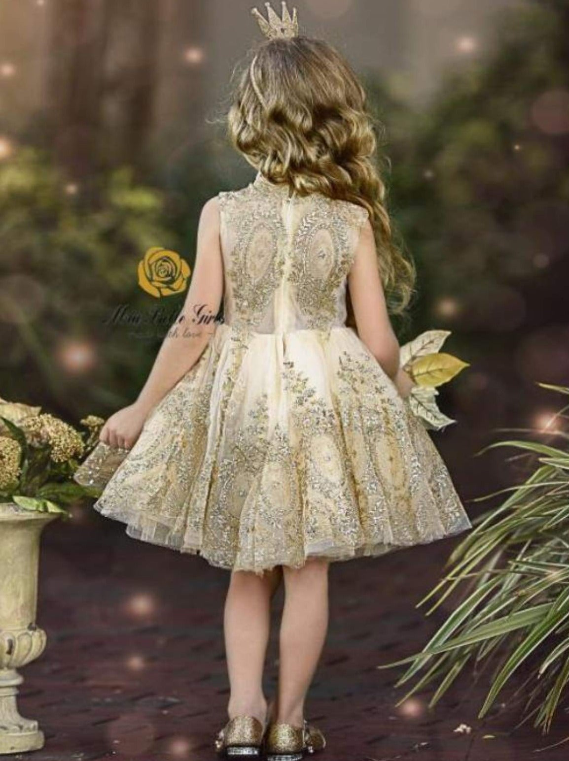 special occasion dresses